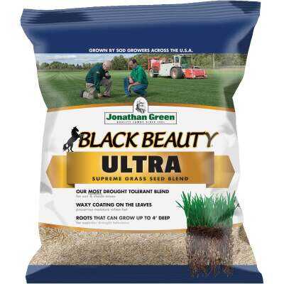 Jonathan Green Black Beauty Ultra 7 Lb. 1400 Sq. Ft. Coverage Tall Fescue Grass Seed