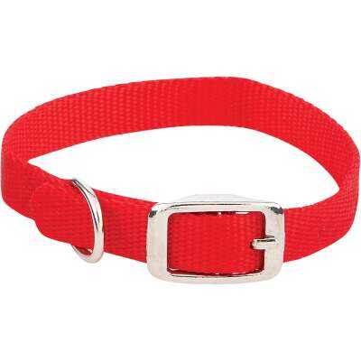 Westminster Pet Ruffin' it Adjustable 14 In. Nylon Dog Collar